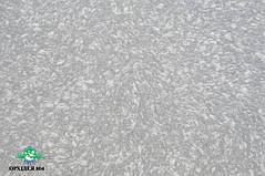 Рідкі шпалери ОРХІДЕЯ 