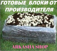 ВЕЛИКИЙ БЛОК З ГРИБНІЧІВ БІЛОГО ШАМПІНЬОНА з компостом (КОМПЛЕКТ ДЛЯ ВИРАЩЕННЯ НА ДОМУ)