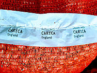 Лук севок Царица (Caryca), Голландия, 1 кг