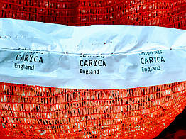 Лук севок  Цариця (Caryca), Голландія, 1 кг