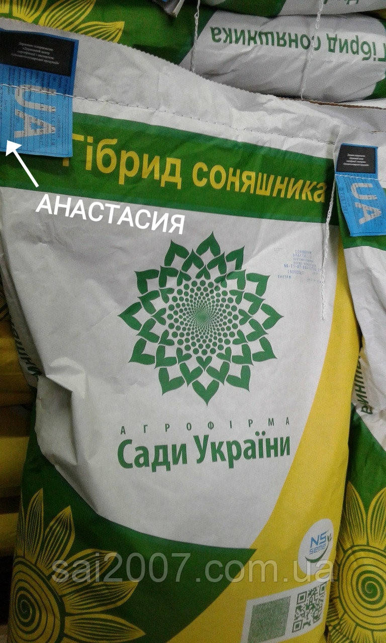 Насіння соняшника гібрид Анастасія