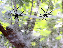 Павутина декоративна біла + 2 павучка на Halloween Party