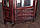 Кутова шафа з натурального дерева "Регіна", кутовий шафа у вітальні, шафа з дерева від виробника, фото 5