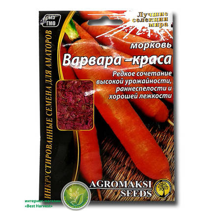 Насіння моркви «Варвара-краса» 15 г, інкрустовані, фото 1