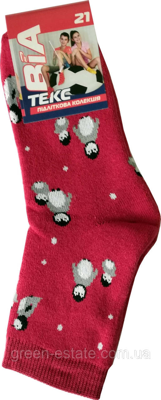 Носки детские махровые Пингвины 18 р. (27-29)