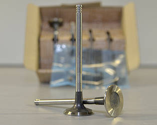 Випускний клапан комплект на Renault Lodgy 2012-> 1.5 dCi — Renault (Оригінал) - 132024905R