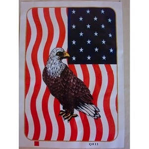 Флісова покривало прапор США з орлом, фото 2