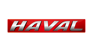 Килимок в багажник Haval