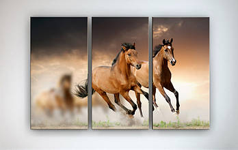Інтер'єрна модульна фотокартина на полотні Коні Пара коней Коні в природі 90х60 їх 3х частин
