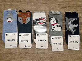 Шкарпетки на хлопчика Фена. 4-6 років.