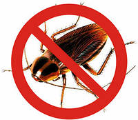 Боротьба з тарганами, засоби від тарганів