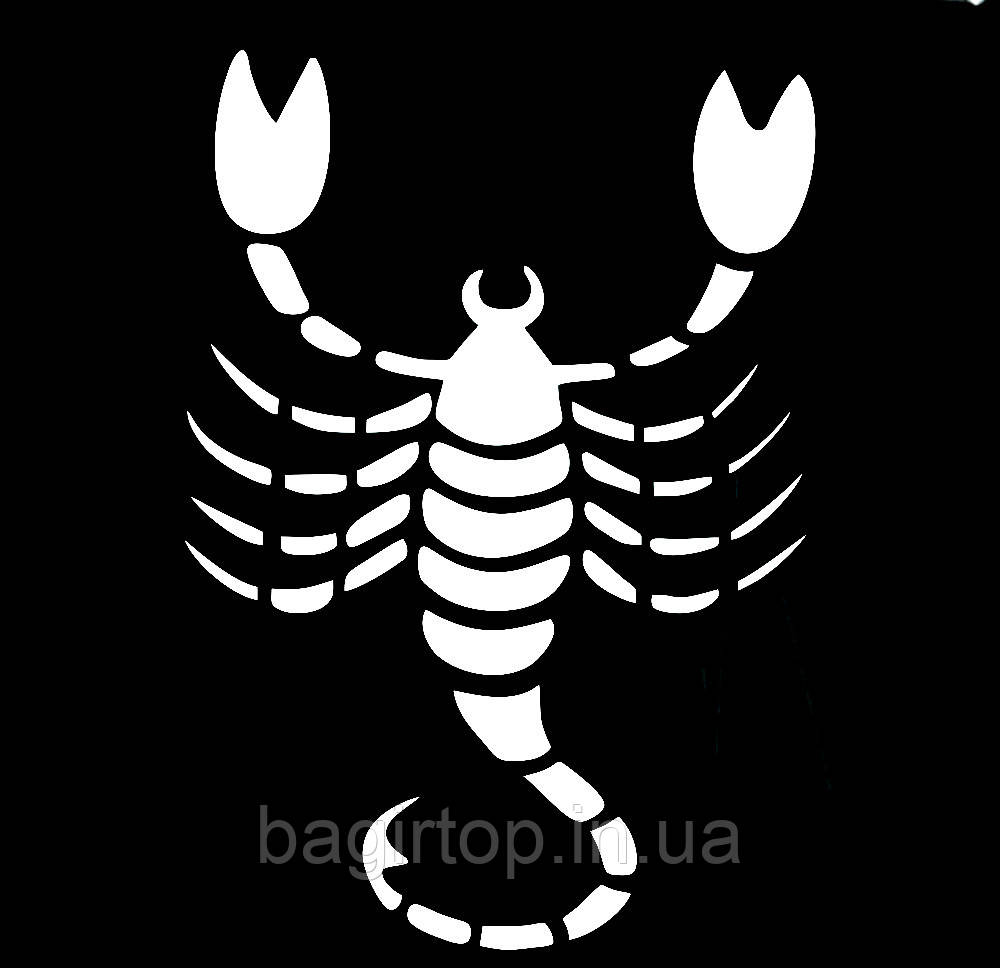 Вінілова наклейка Знак зодіаку скорпіон (15х15см)