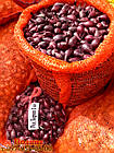 Цибуля — совок озимий Ред Барон (Red Baron), Голландія, 1 кг, фото 4