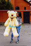 Великий плюшевий ведмедик Рафаль 160 см крем, фото 3