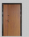 Двері вхідні метал у плівці БЕЗПЛАТНА ДОСТАВКА, фото 4