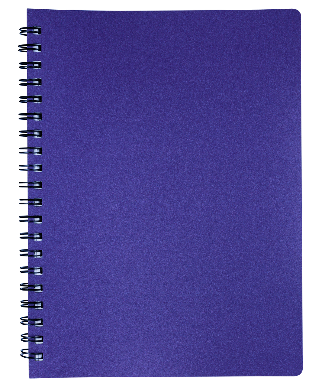 Книжка записн. на пруж. "STATUS" А4, 80л.,кл., пластик.обл., чароїт