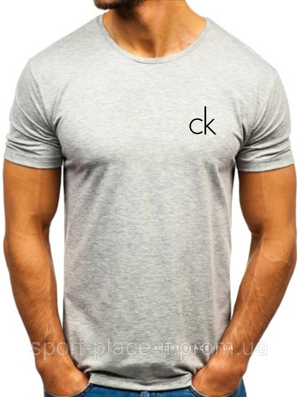 Чоловіча футболка Calvin Klein (Кельвін Кляйн), сіра (маленька емблема) бавовна