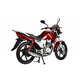 Сезонна розпродажу! Мотоцикл VENTUS VS150-7 150 см3 червоний, фото 5