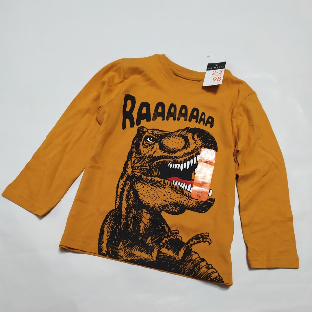Реглан помаранчевий Динозавр Primark (Англія) 116см, фото 1