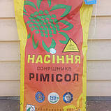 Насіння соняшника (Нертус) Рімis Еліт, фото 3