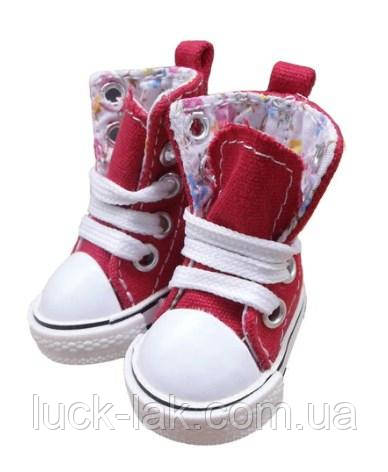 Черевики для ляльки 1/6 Блайз BLYTH, фото 1