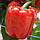 Перець Крімсон Кінг F1 1000н, фото 3