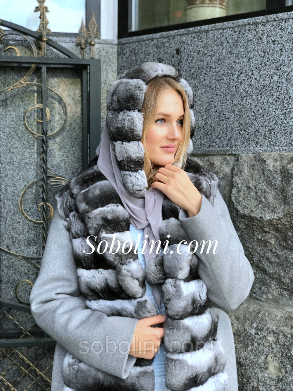 Косинка сміхом шиншили