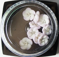 Декор для нігтів Starle Professional (кольорів) st-c04