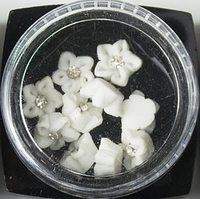 Декор для нігтів Starle Professional (кольорів) st-c02