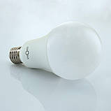 Світлодіодна лампа Led Biom BT-520 A80 20 W E27 4500 K, фото 5