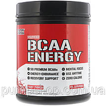 БЦАА Evlution Nutrition BCAA Energy 65 порц., фото 3