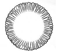 Набор тарелок стеклянных Pasabahce (Пашабахче) Aurora 20.5 см, 6 шт (10512)