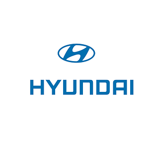 Автомобільні килимки для Hyundai