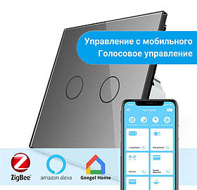 Сенсорний вимикач Livolo 2-канальний, ZigBee Сірий
