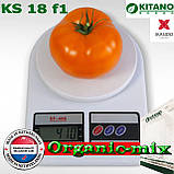 Насіння, томат великоплідний жовтогарячий Айсан KS 18 F1 ТМ "Kitano Seeds" (1000 насіння), фото 3