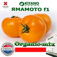 Насіння, високорослий, золотисто-жовтий томат ЯМАМОТО (КС 10) F1, ТМ Kitano Seeds (500 насіння)