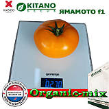 Насіння, високорослий, золотисто-жовтий томат ЯМАМОТО (КС 10) F1, ТМ Kitano Seeds (500 насіння), фото 3