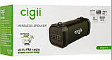 Портативна колонка Bluetooth SPS Cigii F41, чорна, фото 8
