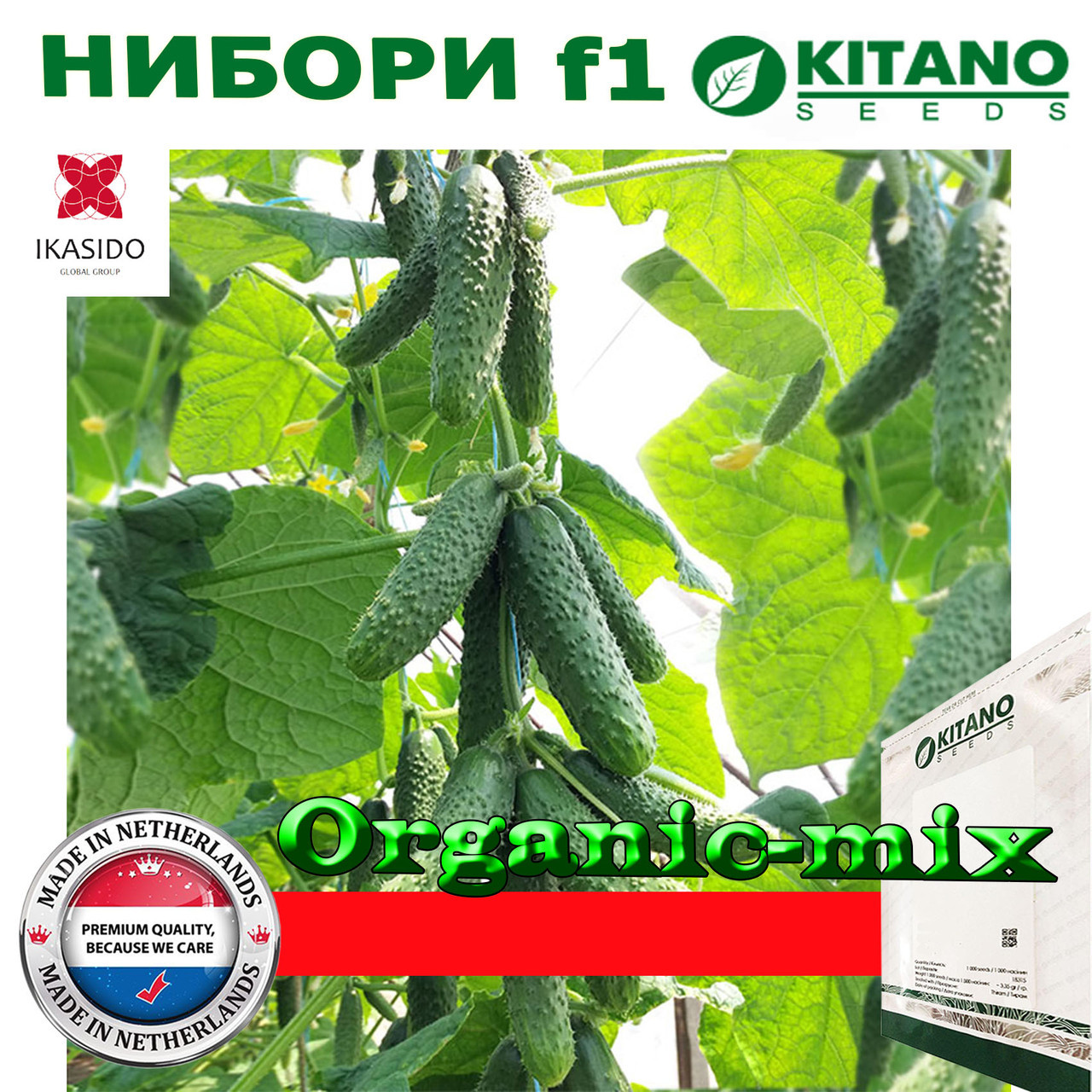 Огірок Ниборі F1 KS 90, суперпучковий, ТМ Kitano Seeds