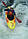 Рятувальний (страхувальний) жилет, утримуваний вага 10-30 кг, різном. кольори, фото 7