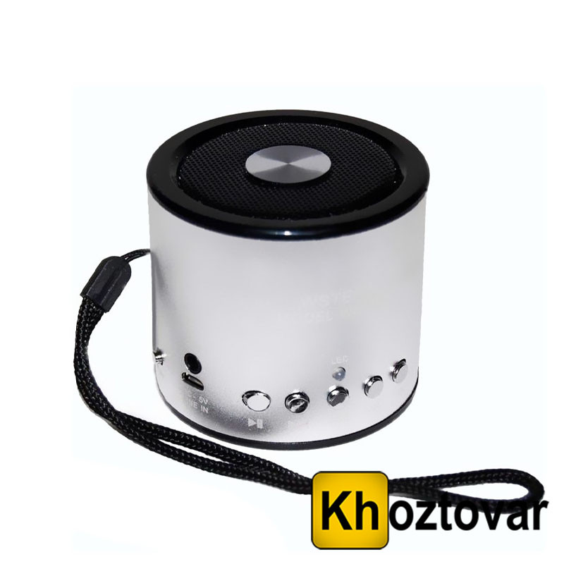 Портативна колонка WSTER WS-A8, фото 1