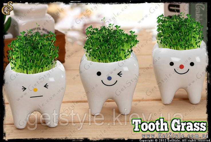 Керамический травянчик Зубик - "Tooth Grass" - 3 шт - фото 5 - id-p1053770917