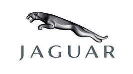 Перехідна рамка Jaguar
