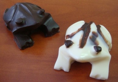 Об'ємні шоколадні жаби