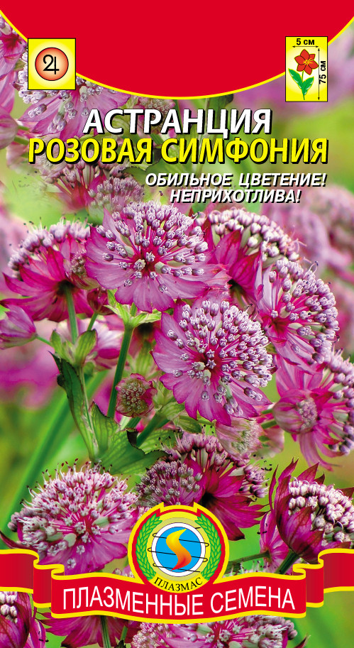 Насіння Астрагія Рожева симфонія.