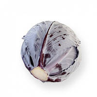 Капуста червоноголова РЕКСОМА F1  |  REXOMA F1 Rijk Zwaan 2500 шт