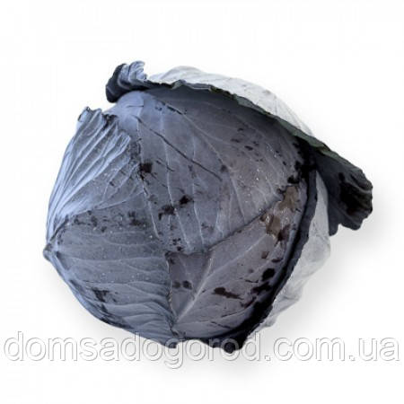 Капуста червоноголова РОДИМА F1  |  RODIMA F1 Rijk Zwaan 1000 шт.