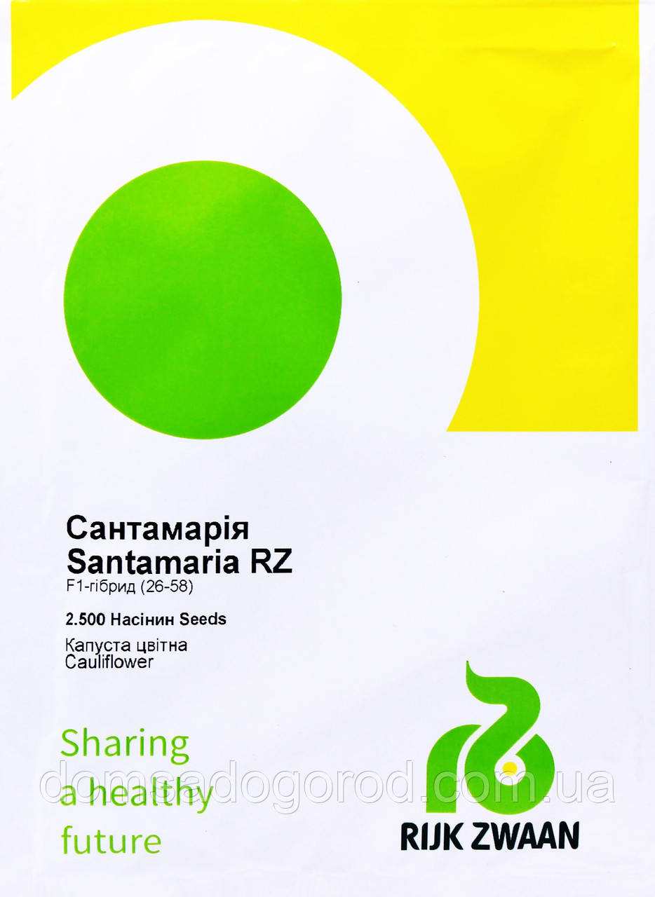 Капуста цвітна САНТАМАРІЯ F1 | SANTAMARIA F1 Rijk Zwaan 2500 шт.