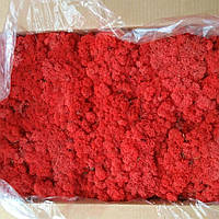 Червоний Стабілізований мох (ягель) 500 г