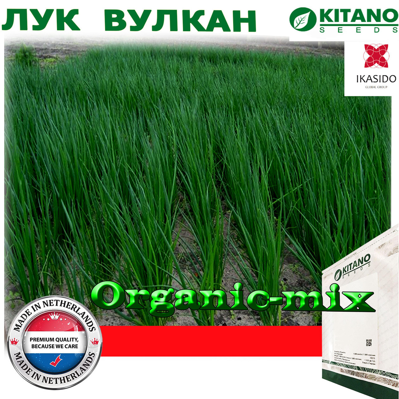 Насіння, Лук на зелень (на перо) Вулкан, ТМ Kitano Seeds, 100 грамів (проф. пакет)